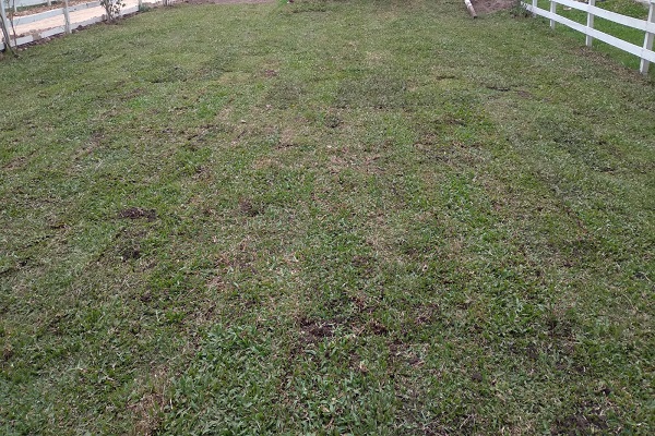 SANTILLÁN HNOS - Imagen 3