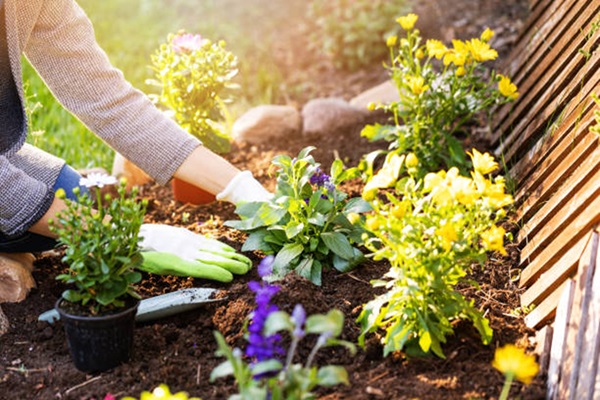 Jardineria